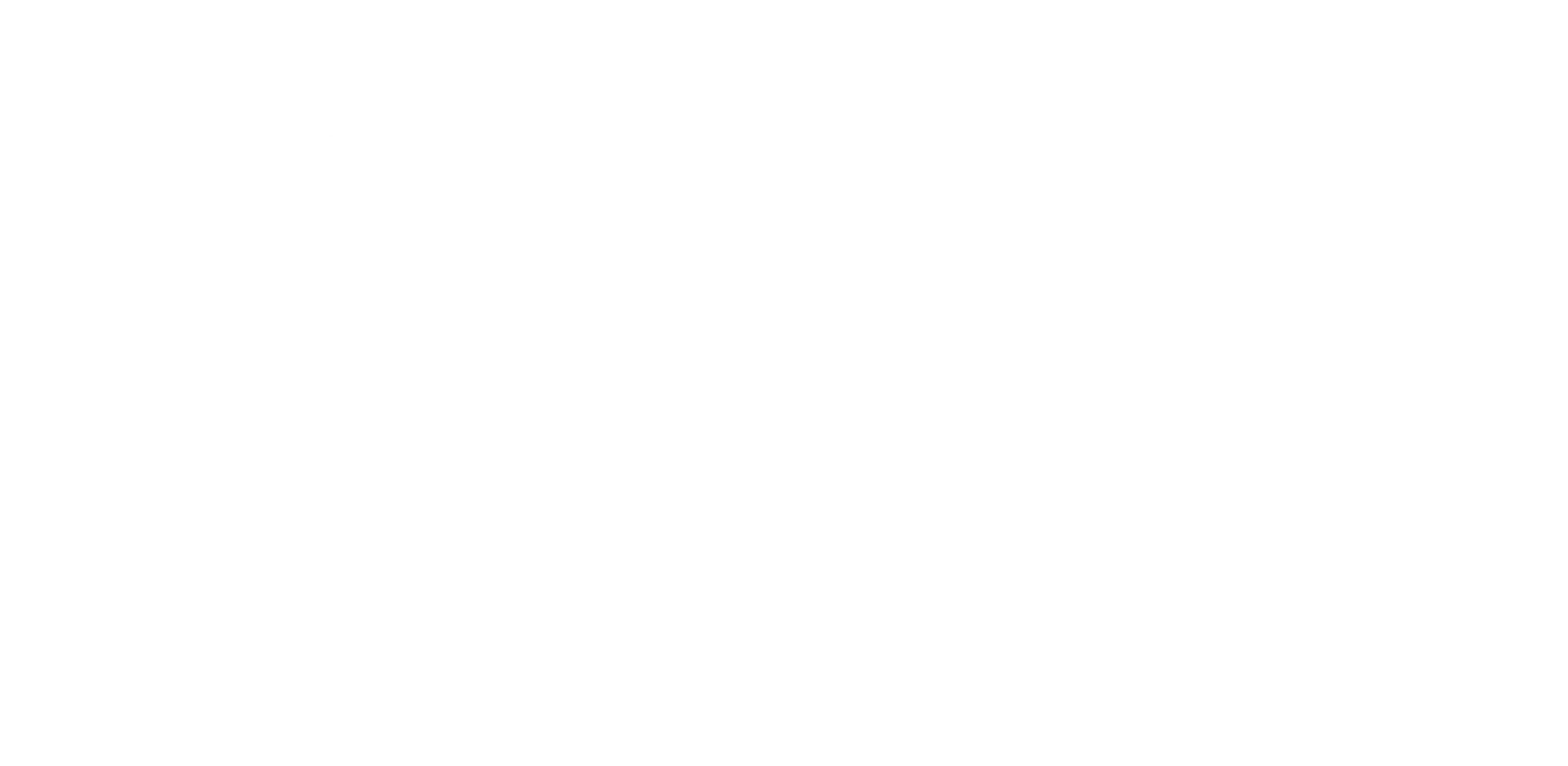 logo icones services blanc